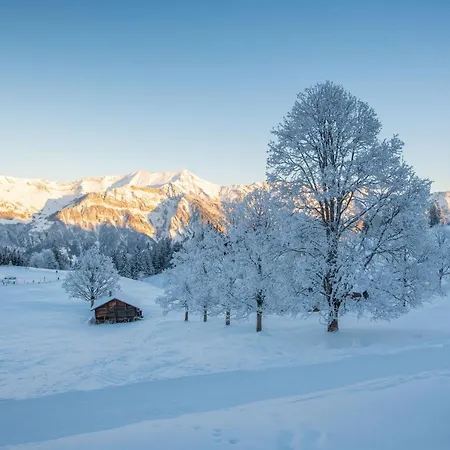 ホテル Genusshotel ブリエンツ