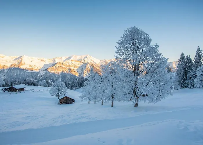 Hotel Genusshotel Brienz (Bern)