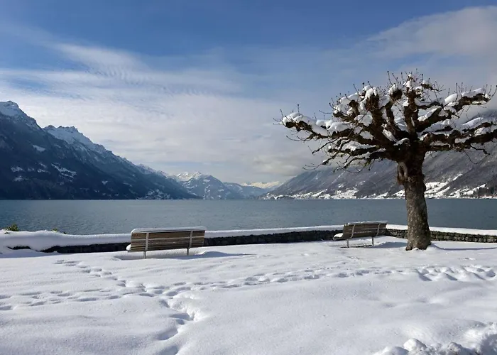 Genusshotel Brienz (Bern)