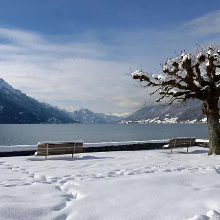 Genusshotel Brienz (Bern)