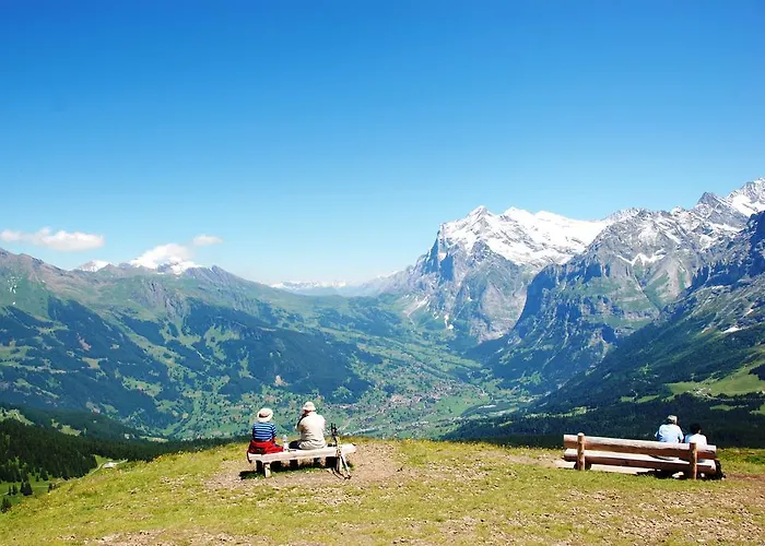 Hotel Genusshotel Brienz (Bern)
